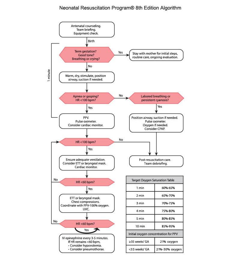 Guideline Updates With MedStudy- NRP 8th Edition